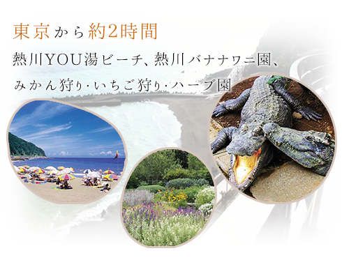 東京から約2時間熱川YOU湯ビーチ、熱川バナナワニ園、みかん狩り・いちご狩り・ハーブ園