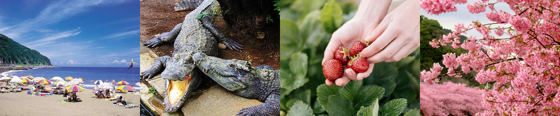 メインイメージ