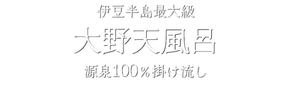 伊豆半島最大級大野天風呂