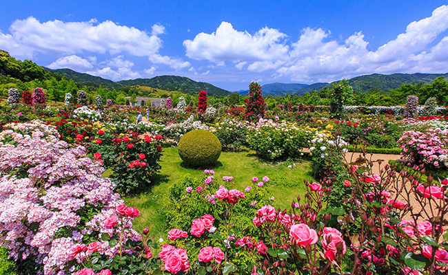 河津バガテル公園
