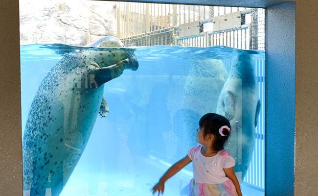 マリンピア日本海