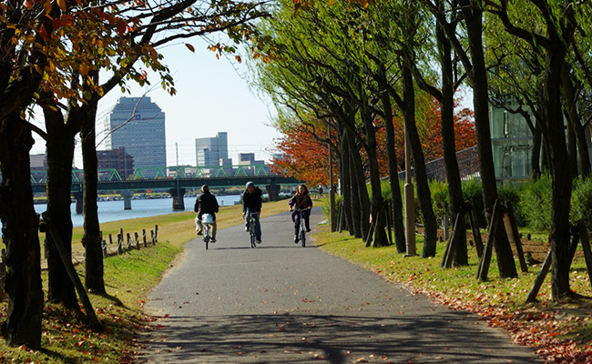 信濃川やすらぎ堤