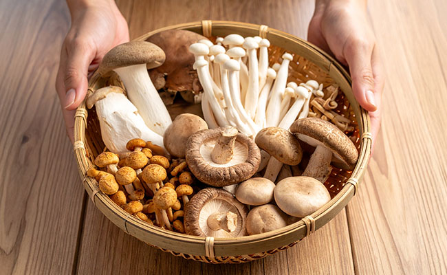 三川観光きのこ園