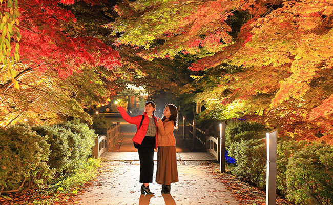 弘前城菊と紅葉まつり