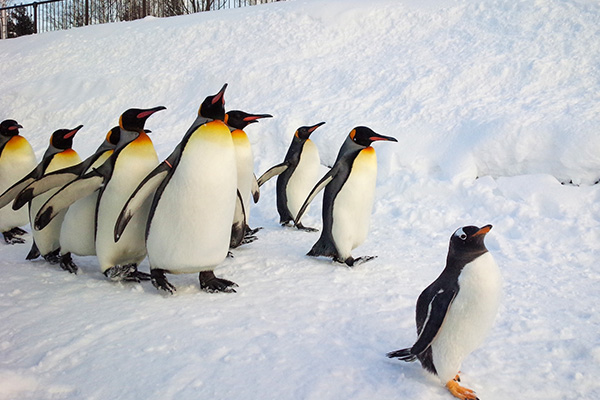 ビジネス・観光に便利な立地