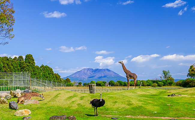 平川動物公園