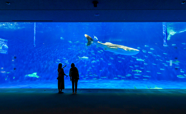 いおワールド かごしま水族館