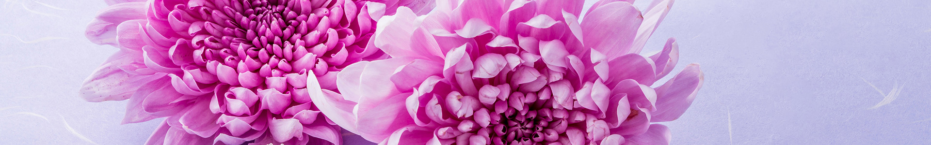 法要トップイメージ