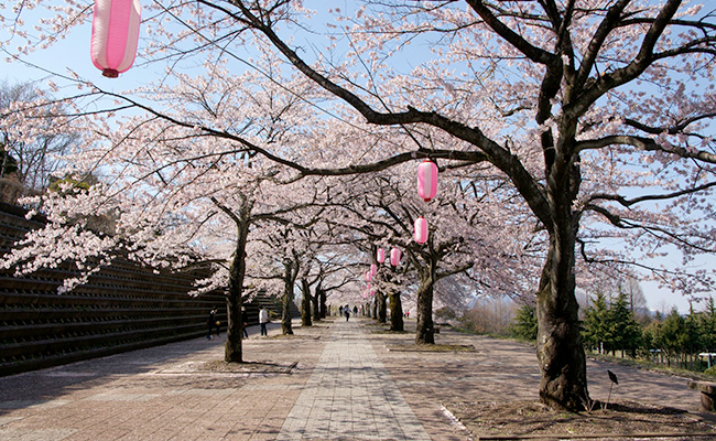 渋川総合公園（子持山眺望）