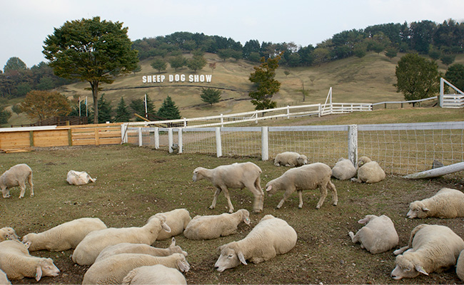 伊香保グリーン牧場