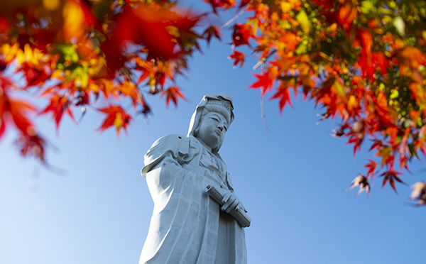 高崎白衣大観音