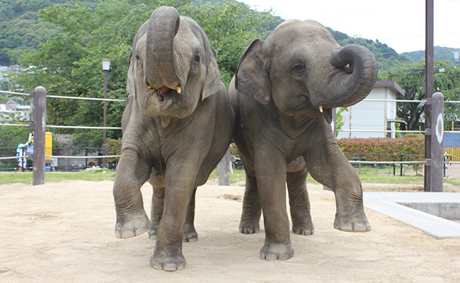 周南市徳山動物園